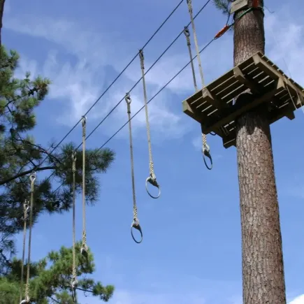 materiel accrobranche, anneaux suspendus, PP 20mm