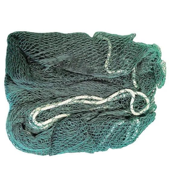 poisson carrelet, peche a pied, carrelets 14mm
